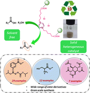 Graphical abstract: Chitosan supported ionic liquid, a multifaceted catalyst for streamlined and efficient synthesis of carboxylic, amino acid and carbohydrate esters