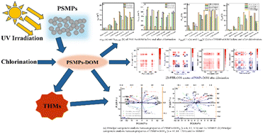 Graphical abstract: Insight into the dynamic transformation properties of microplastic-derived dissolved organic matter and its contribution to the formation of chlorination disinfection by-products