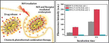 Graphical abstract: Gold nanorod-based smart platform for efficient cellular uptake and combination therapy