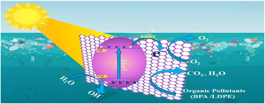 Graphical abstract: Visible light driven degradation of BPA and LDPE microplastic films using GO/SCN nanocomposite