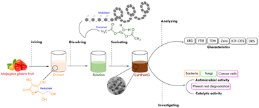 Graphical abstract: Synthesis of copper nanoparticles by a sonication-mediated method using Malpighia glabra fruit extract and their applications