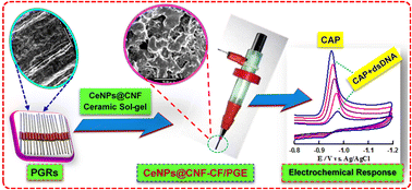 Graphical abstract: Sol–gel derived ceramic nanocomposite CNFs anchored with a nanostructured CeO2 modified graphite electrode for monitoring the interaction of a selective tyrosine kinase inhibitor capmatinib with dsDNA