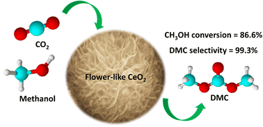 Graphical abstract: Direct dimethyl carbonate synthesis from CO2 and methanol over a flower-like CeO2 catalyst with 2-cyanopyridine as a dehydrating agent in continuous packed-bed reactor