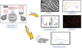 Graphical abstract: A doxorubicin loaded chitosan–poloxamer in situ implant for the treatment of breast cancer