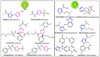 Graphical abstract: Molecular docking and in vivo/in vitro studies of a novel thiadiazole Schiff base as a hepatoprotective drug against angiogenesis induced by breast cancer