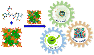 Graphical abstract: Low temperature synthesis of franklinite stabilized cefixime as a multifunctional nanoformulation