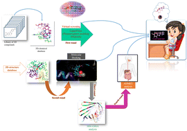 Graphical abstract: An integrated theoretical study on natural alkaloids as SARS-CoV-2 main protease inhibitors: a step toward discovery of potential drug candidates with anti-COVID-19 activity