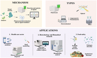 Graphical abstract: Advancing protein biosensors: redefining detection through innovations in materials, mechanisms, and applications for precision medicine and global diagnostics