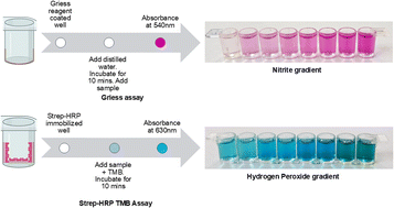 Graphical abstract: Rapid detection of hydrogen peroxide and nitrite in adulterated cow milk using enzymatic and nonenzymatic methods on a reusable platform