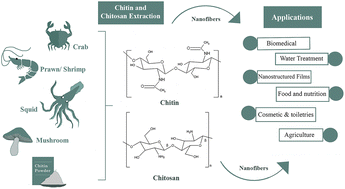 Graphical abstract: Chitin nanofibers: recent advances in preparation and applications in biomedical and beyond
