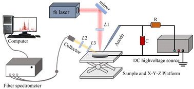 Graphical abstract: Quantitative analysis and identification of magnesium alloys using fs-LA-SIBS combined with machine learning methods