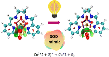 Graphical abstract: Computational evaluation of the oxidation of superoxide to molecular dioxygen mediated by NNNN-tetradentate copper complexes