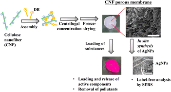 Graphical abstract: Preparation of a CNF porous membrane and in situ synthesis of silver nanoparticles (AgNPs)