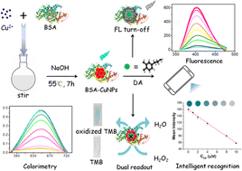 Graphical abstract: Dual-recognition driven sensing platform based on a BSA-Cu NP nanozyme combined with smartphone-assistance for fluorometric/colorimetric monitoring of dopamine