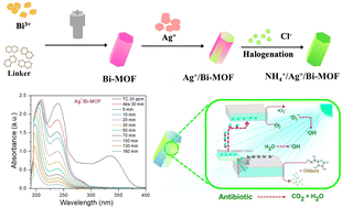 Graphical abstract: Optimizing adsorption and photocatalysis for tetracycline and sulfamethoxazole removal: the role of Ag+ and NH4+ in Bi-MOF derivatives