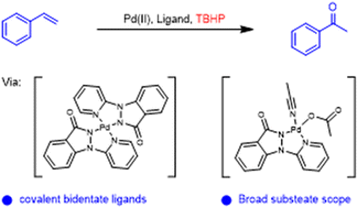 Graphical abstract: Covalent bidentate ligand-enabled regioselective Wacker-type oxidation of olefins