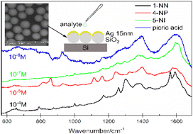 Graphical abstract: SERS of nitro group compounds for sensing of explosives