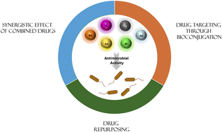 Graphical abstract: Metal compounds as antimicrobial agents: ‘smart’ approaches for discovering new effective treatments