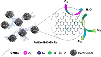 Graphical abstract: Combined effects of transition metal nitrogen and graphene nanoribbon edge active sites on the oxygen reduction reaction catalytic performance of metal–N–carbon-based catalysts