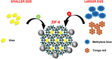 Graphical abstract: ZIP-8/Ag-based size-selective SERS nanoplatform for ultrasensitive urea detection in milk samples: effects of analyte molecular dimensions on adsorption capacity and sensing performance