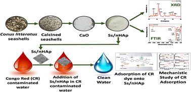 Graphical abstract: Characterization and adsorption performance of nano-hydroxyapatite synthesized from Conus litteratus waste seashells for Congo red dye removal