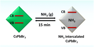 Graphical abstract: Dynamic bandgap modulation in CsPbBr3 perovskite nanocrystals through reversible ammonia intercalation