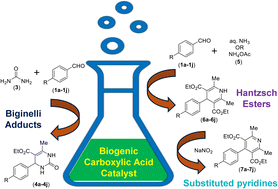 Graphical abstract: Aqueous solution of biogenic carboxylic acids as sustainable catalysts and green reaction media for the high-yielding synthesis of Biginelli adducts, Hantzsch esters, and substituted pyridines