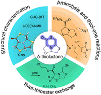 Graphical abstract: Novel enantiopure δ-thiolactones: synthesis, structural characterization, and reactivity studies