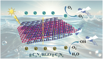 Graphical abstract: Metal-free photocatalyst with reduced graphene oxide-doped graphitic carbon nitride homojunctions for efficient antibacterial applications