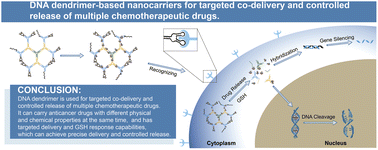 Graphical abstract: DNA dendrimer-based nanocarriers for targeted Co-delivery and controlled release of multiple chemotherapeutic drugs