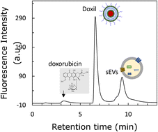 Graphical abstract: Separation of 100 nm-sized nanoparticles using a poly-Lys-modified monolith column