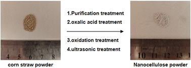 Graphical abstract: Effect of oxalic acid treatment on the oxidation efficiency of maize stover cellulose and controllable preparation of nanocellulose