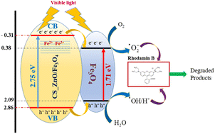Graphical abstract: Photocatalytic degradation performance of a chitosan/ZnO–Fe3O4 nanocomposite over cationic and anionic dyes under visible-light irradiation