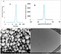 Graphical abstract: Luliconazole–niacinamide lipid nanocarrier laden gel for enhanced treatment of vaginal candidiasis: in vitro, ex vivo, in silico and preclinical insights