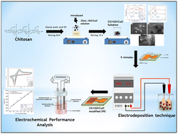 Graphical abstract: A novel sensitive electrode based on a chitosan/rGO/CuO composite for the detection of urea concentration
