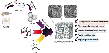 Graphical abstract: Fabrication and in vitro cytocompatibility evaluation of porous bone scaffold based on cuttlefish bone-derived nano-carbonated hydroxyapatite reinforced with polyethylene oxide/chitosan fibrous structure