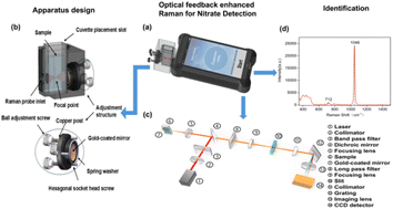 Graphical abstract: Development of a rapid sensor system for nitrate detection in water using enhanced Raman spectroscopy