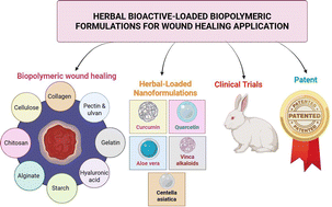 Graphical abstract: Herbal bioactive-loaded biopolymeric formulations for wound healing applications