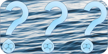 Graphical abstract: Stability of bicyclic guanidine superbases and their salts in water