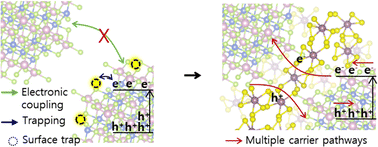 Graphical abstract: Designing multiple charge carrier separation pathways in core-type near infrared colloidal nanocrystal for broadband photodetector