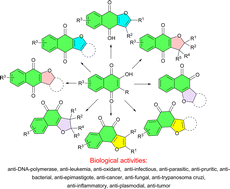 Graphical abstract: A review on synthesis of furonaphthoquinones through lawsone derivatives annulation reactions and their biological properties