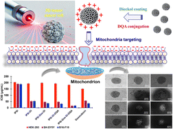 Graphical abstract: Revolutionary NIR-activated silicon nanoparticles: precision-controlled release and targeted 3D cancer cell destruction