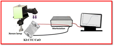Graphical abstract: Potassium iodide-doped cesium tin chloride/copper oxide perovskite for light photodetection and energy conversion
