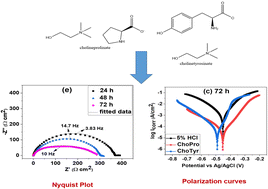 Graphical abstract: Insight into the time-dependent corrosion protection of mild steel by green ionic liquids: a combined electrochemical, surface, and computational study
