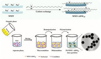Graphical abstract: Nanocomposites of organo-montmorillonite/polystyrene latex particles via free radical miniemulsion polymerization