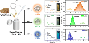 Graphical abstract: Preparation of multi-colored carbon dots via pH-controlled degradation of wheat bran/o-phenylenediamine for Fe3+ ion detection