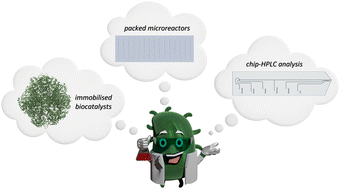 Graphical abstract: Development of an automated platform for monitoring microfluidic reactors through multi-reactor integration and online (chip-)LC/MS-detection