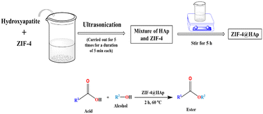 Graphical abstract: Designing of a novel heterogeneous nanocatalyst ZIF-4@HAp for solvent free base catalyzed esterification reaction