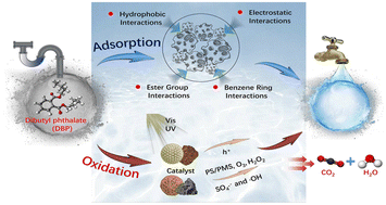 Graphical abstract: Efficient removal of dibutyl phthalate from aqueous solutions: recent advances in adsorption and oxidation approaches