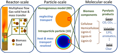 Graphical abstract: Impact of particle-scale models on CFD–DEM simulations of biomass pyrolysis
